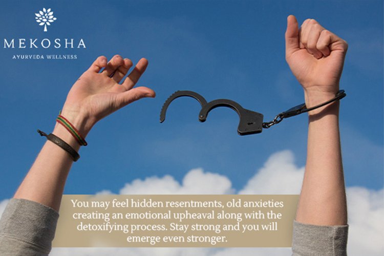Experience the Shifts Towards Restoring Your Body - Mekosha